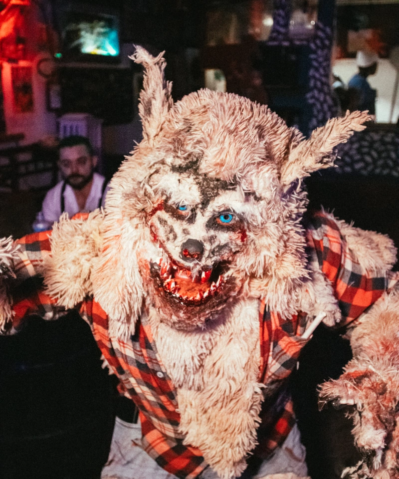 Festa de Halloween 